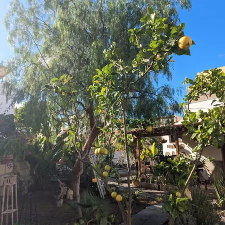 Lejlighed Casa Roberta Aire